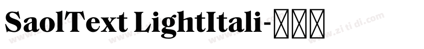 SaolText LightItali字体转换